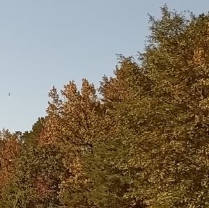 Meet your Posher, Charlene